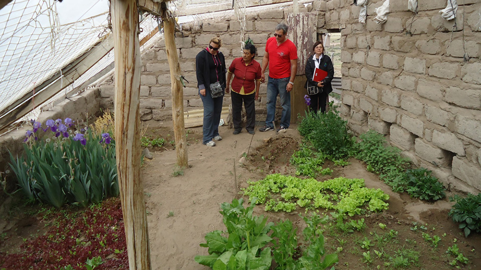 Educación ambiental